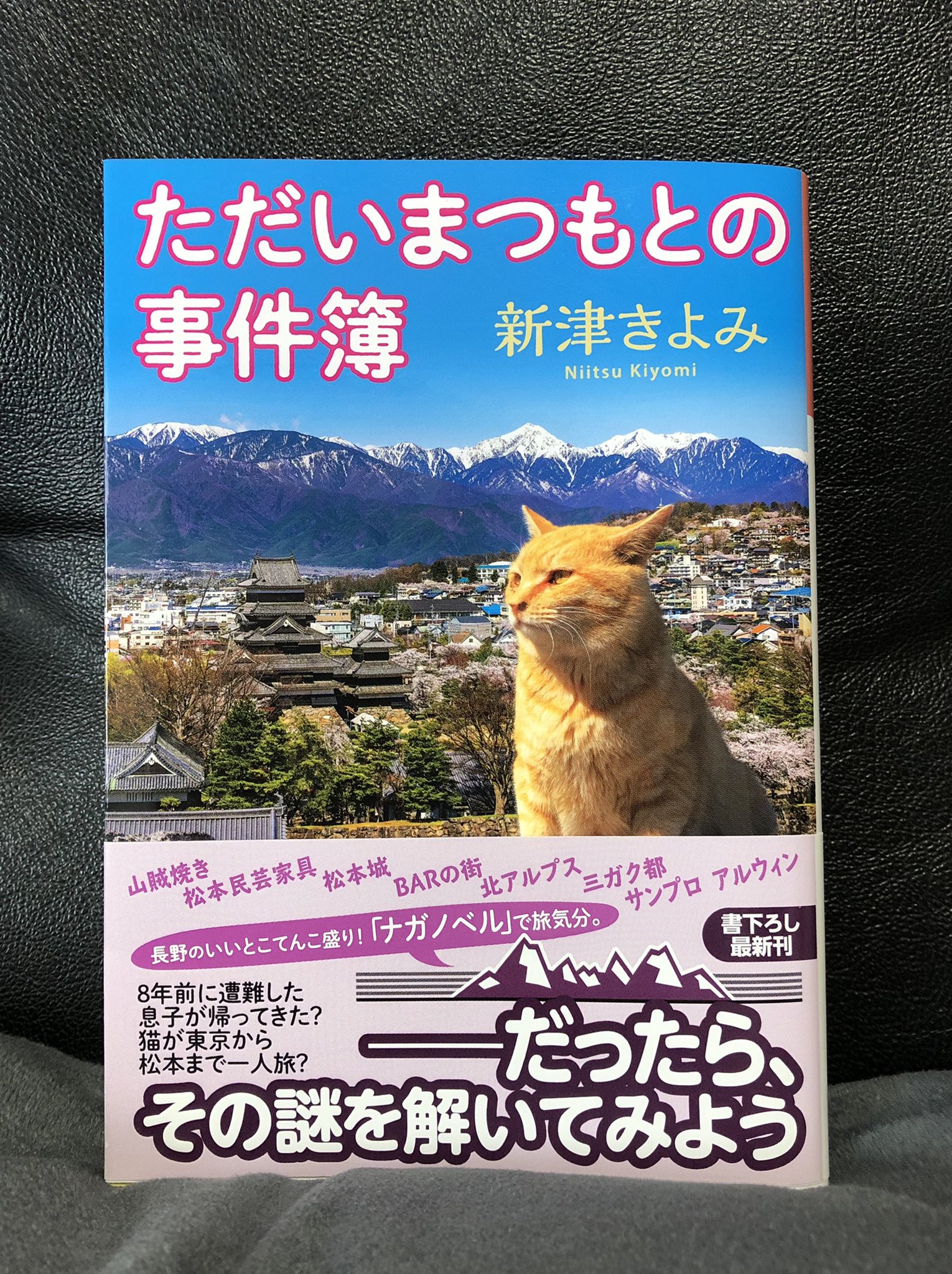 白鳥 読書好き ただいまつもとの事件簿 新津きよみ 新聞社主催の松本市移住希望者の説明会で 東京でいなくなった猫 が長野県で保護された話が出る 一見良く聞く話だと思うが転勤族の清水真紀の好奇心を刺激する 猫は本当に自ら松本迄来たのか
