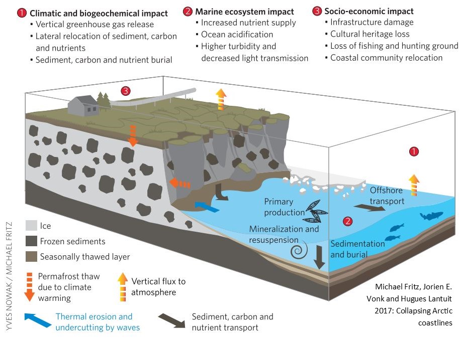 Many of the coasts consist of loose soils bound together and strengthened with ice. But, if conditions are such that the ice in these soils begins to melt, then they become highly vulnerable to erosion and the permafrost can begin to thaw. 4/17