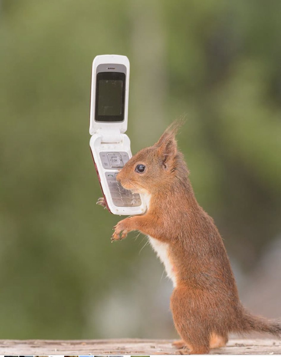 Had a ‘little chat’ with Frank today..... still not found out who bit my nose ☹️