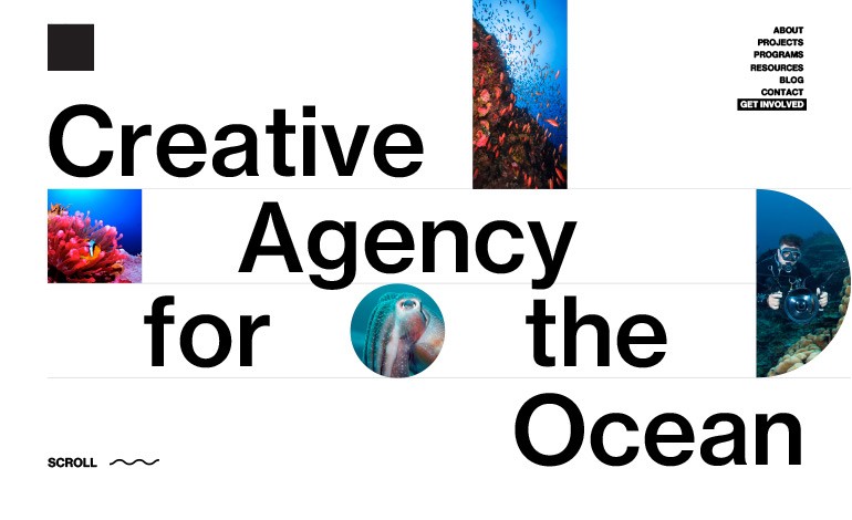 #Featured of the Day 27 Apr 2021 The Ocean Agency @theoceanagency by Buzzworthy Studio @GetBuzzworthy csslight.com/website/42075/…