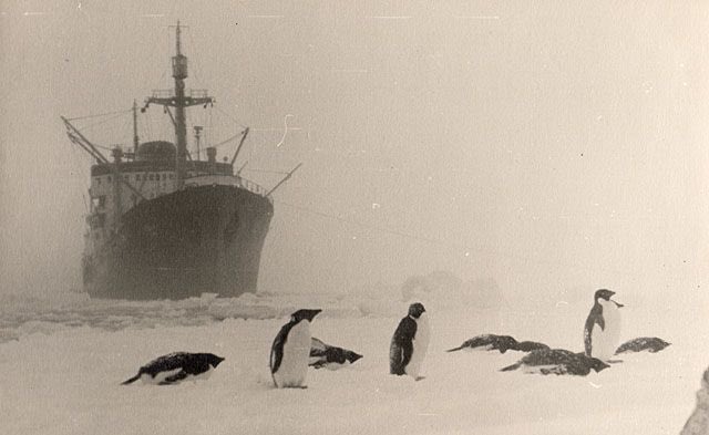 В середине 20 века антарктида