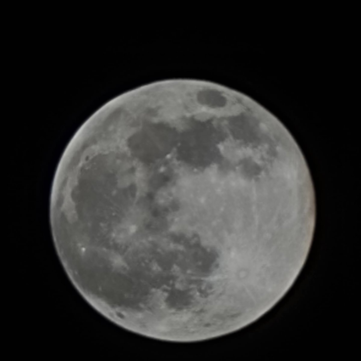 bemkeaala3's tweet image. #PinkSupermoon2021 #samsunggalaxys21ultra #beastcamera