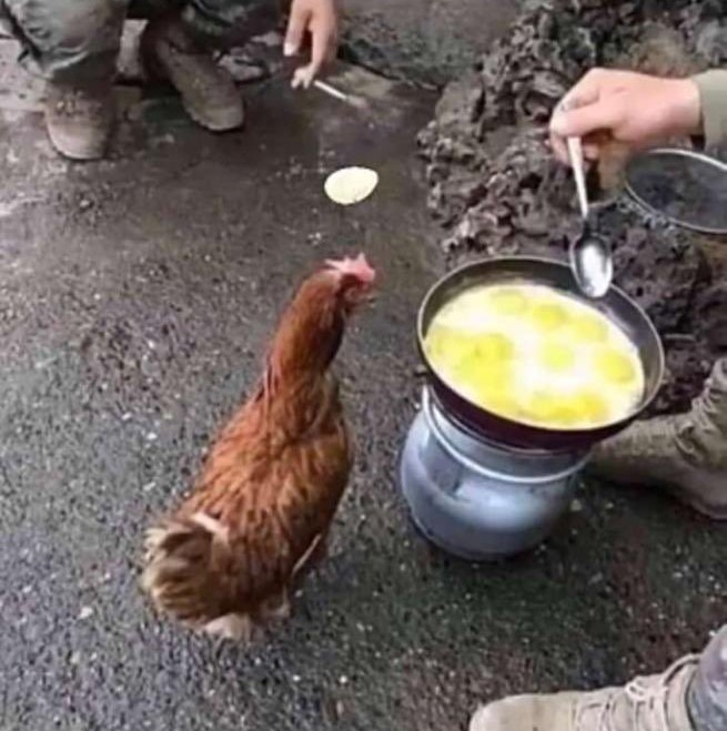 مايقهر إلا لما يضيع تعبك قدام عينك 😂