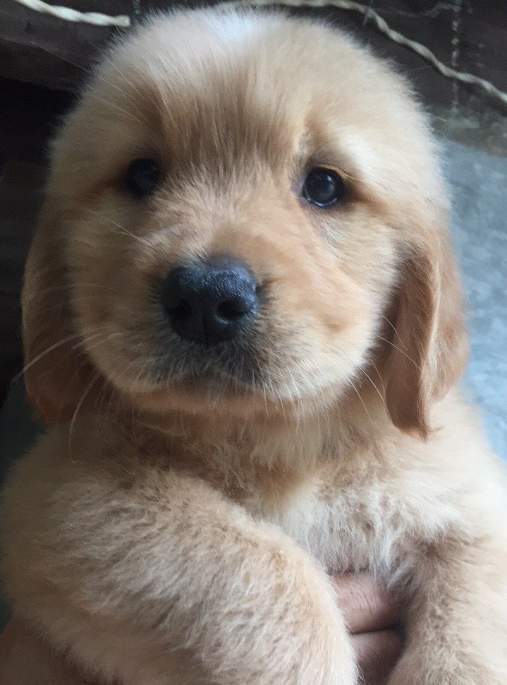 รูปที่หลอกนุดก่อนมาอยู่บ้านว่าผมเป็นเด็กดี ผมเป็นหม๋าเด่กหน้าง่วงจ๋อยๆ