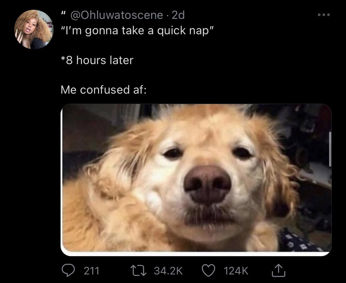 relatable content and dog9/10