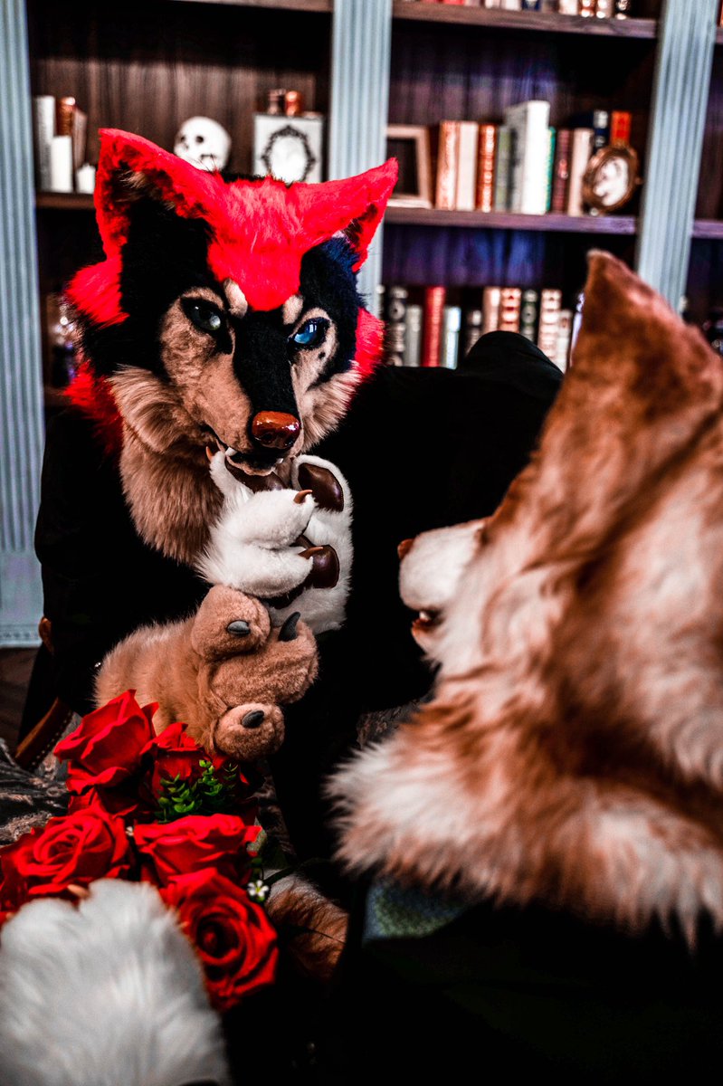 YueIchinose's tweet photo. ➡️🐶：@LL475722019 
Choose            Or                           ？
          ➡️🦌：@Geer1201  

📷：@carol801201 

#fursuit https://t.co/zWLXMpuv00