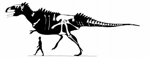 TheRedRaptor tweet media