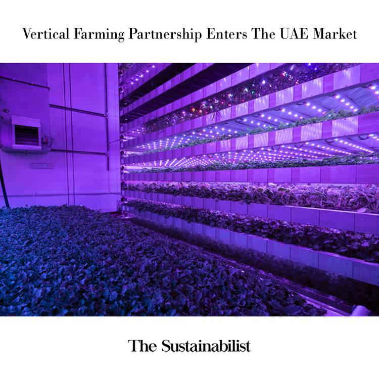 IGS enters UAE market, signing a deal with Madar Farms to enhance food security in the GCC region

Read the full story at ow.ly/gzcc50Exvq2