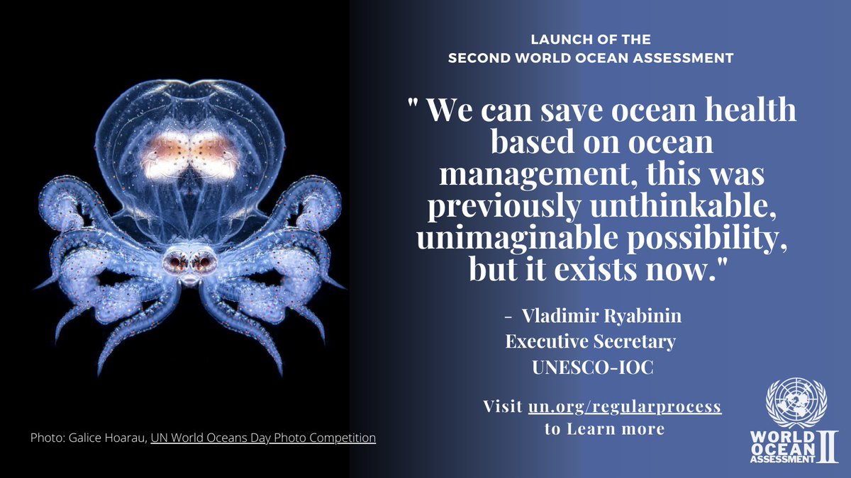 NCSecretariat's tweet image. Have you read the 2nd World Ocean Assessment yet?

Available now! un.org/regularprocess/ #RegularProcess #OceanDecade #SDG14