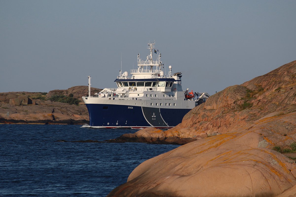 Utlysning! Sök fartygstid för en kostnadsfri forskarvecka på R/V Svea hösten 2021. slu.se/centrumbildnin…