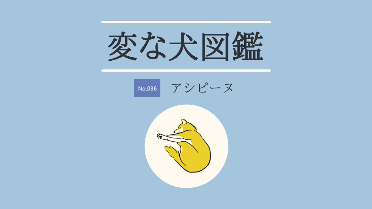 「【変な犬図鑑】
No.036 アシピーヌ
足をピーンと伸ばしてくつろぐあの犬です」|いぬころ｜変な犬図鑑のイラスト