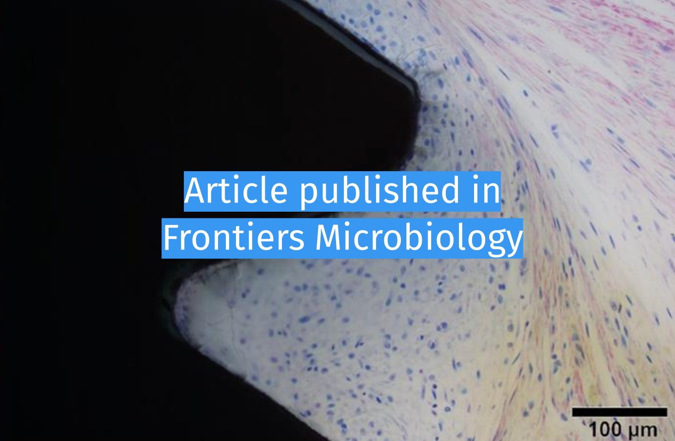 Materials Engineering KU Leuven on Twitter "Multiple KU Leuven