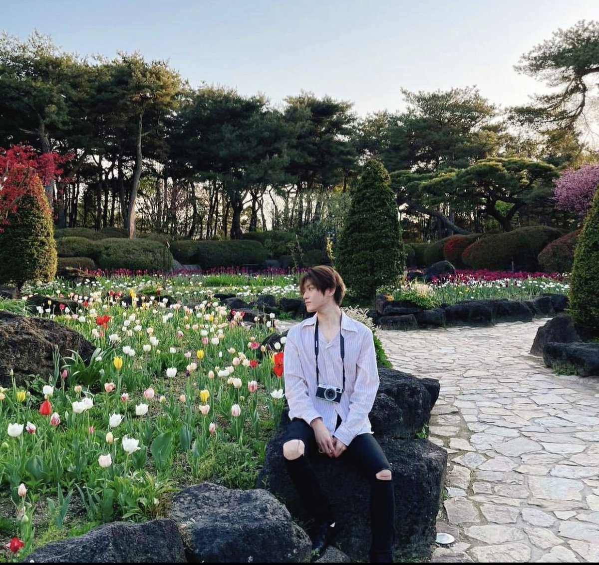 TAEYONG 1st FULL ALBUM WYLD May, 18,2026 tweet media