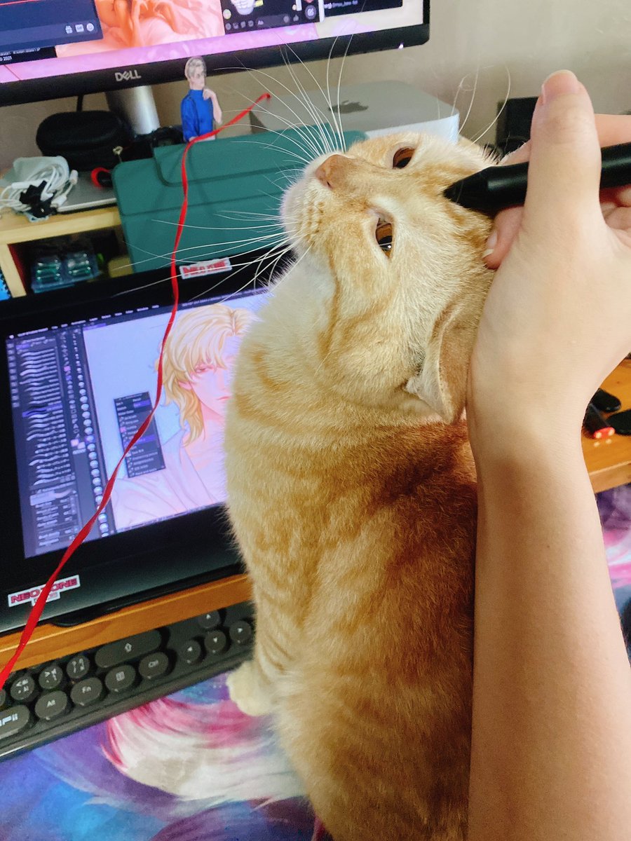 ก็คือว่านะ ขวางท๊างงงงงง 🤣