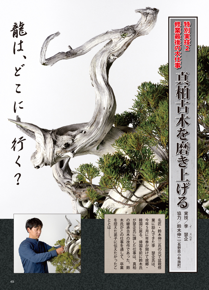 近代出版 編集部 Kinbon Bonsai Twitter 近代出版 編集部 Kinbon Bonsai Twitter