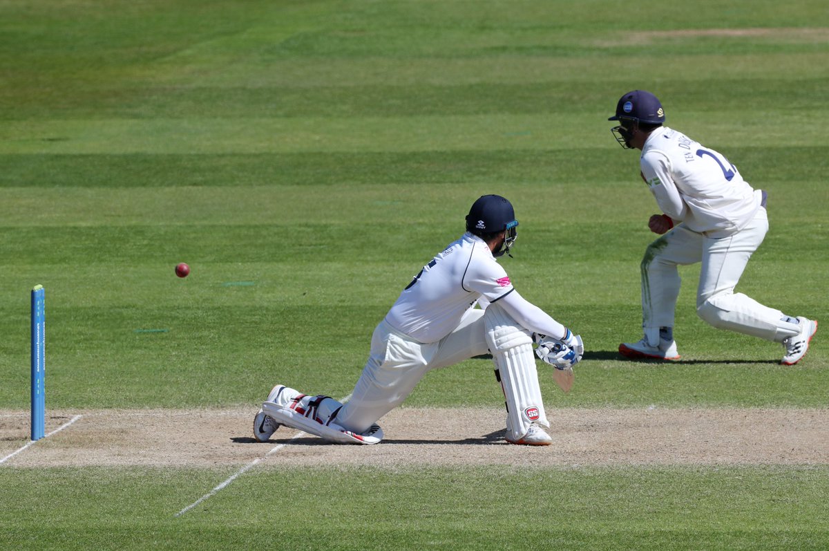 WarwickshireCCC's tweet photo. 𝗙𝗶𝗿𝘀𝘁 5️⃣0️⃣ 𝗮𝘀 𝗮 𝗕𝗲𝗮𝗿! 👌

📸 @Hanumavihari

🐻#YouBears | #WARvESS https://t.co/ETApSTPTgL