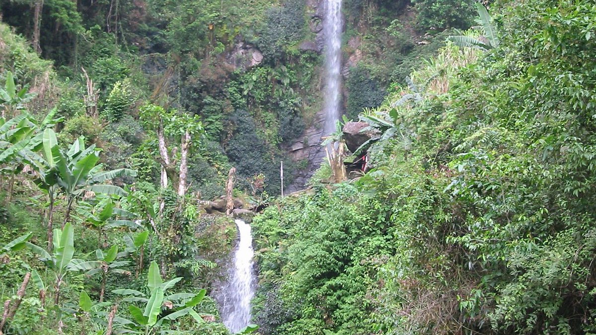 A waterfall flowing through a forest in Jamaica. 