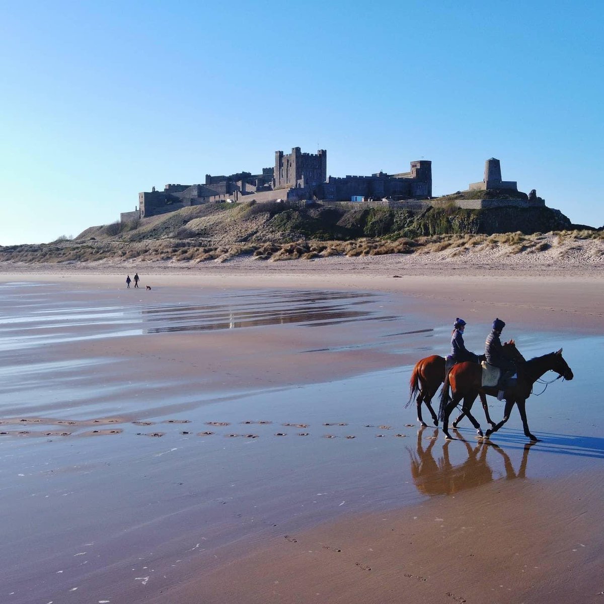 Eagle & Des exercising on Bamburgh beach this morning! Photo by Jamie Dobson, he also took some incredible drone footage which will be posted soon! #StunningDay #ThanksJamie #TeamWork #Bamburgh