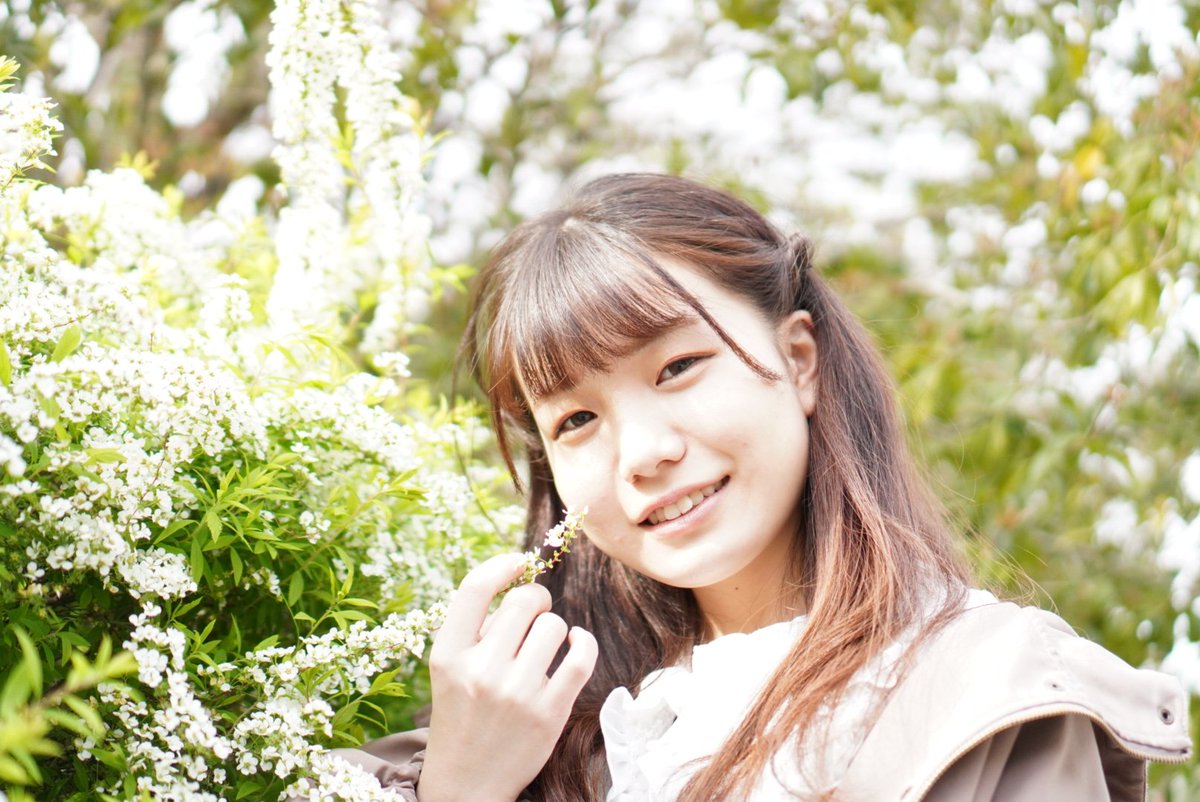 冬花さくら Af Saku Twitter 冬花さくら Af Saku Twitter