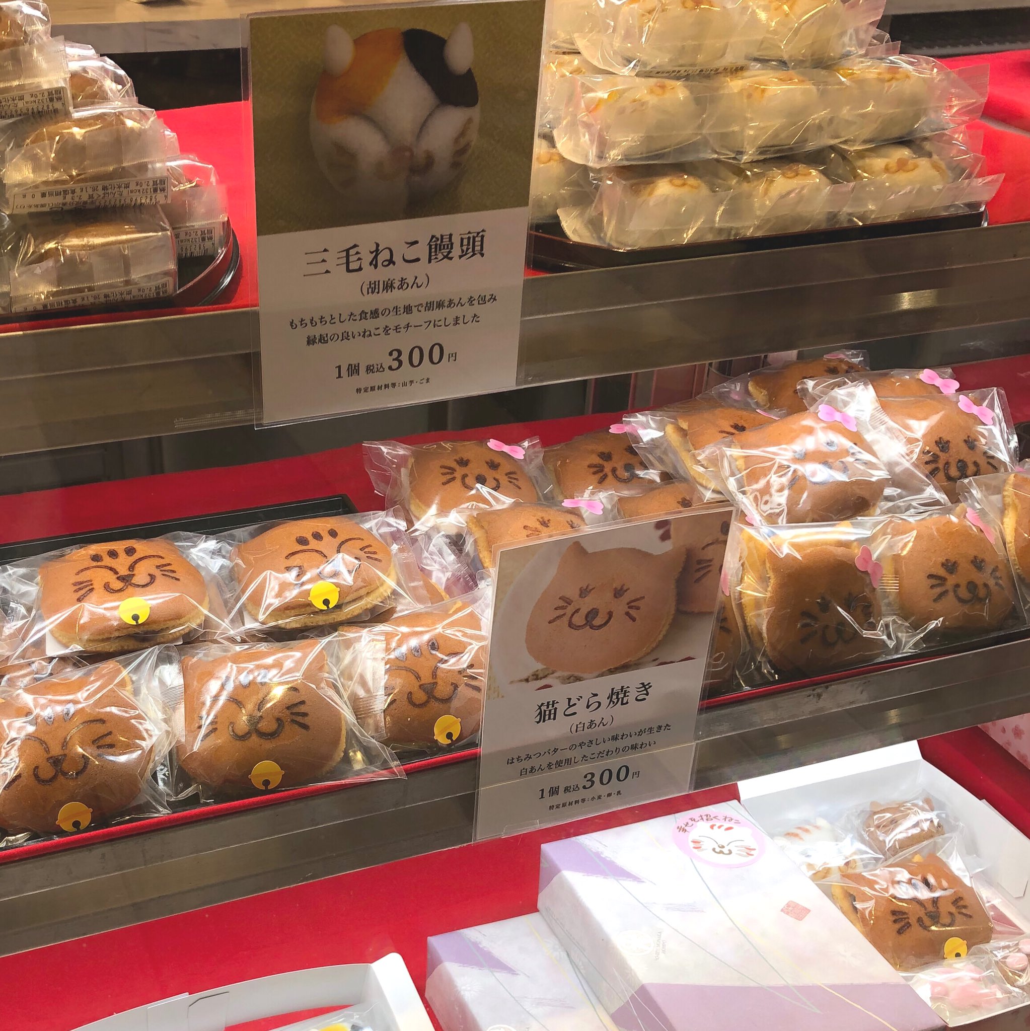 三毛猫雑貨店😺9/3(水)、10(水)臨時休業 on X: 