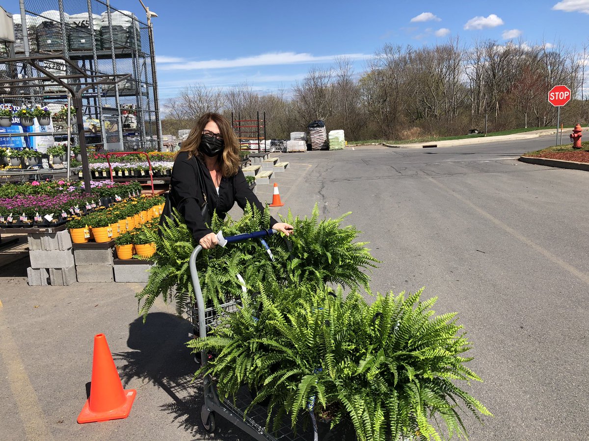 AlanF-Battlefieldfarms tweet media