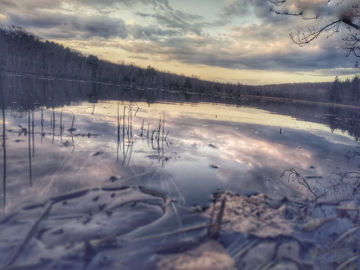 🌲🐻 Good morning Friends!

#griswold #voluntown #pachaug