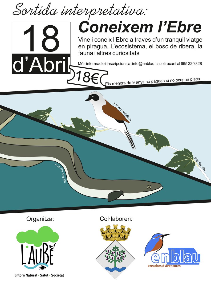 Sortida interpretativa per l’Ebre 🌿🦆🦉🦋🦇🐟🐢 en càiac 🚣🏽‍♀️🚣🏽‍♀️. Places limitades. Us hi apunteu? Som-hi!