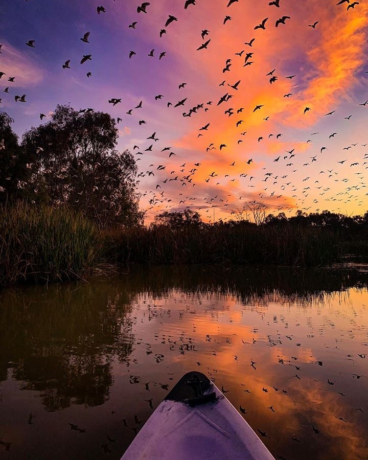 Mildura sunsets drawing out the crowds on the Murray.

📸 via IG/lisamilne