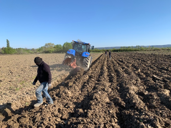 ClosduBailly's tweet photo. Aujourd’hui nous tirons du sol les racines des anciennes vignes pour préparer la prochaine plantation. https://t.co/c1b52xWbmp