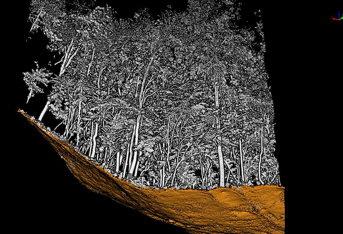 GreenValleyINTL's tweet photo. GVI carried out tree scanning through #LiAirV70 in the #Natural #Forest Area.
Next, #LiDAR360 is used to #classify the ground points and #colorize the #pointclouds .
#Individual #Tree #Segmentation
#TreeHeight #CoordinatePosition #DBH #CrownDiameter #CrownArea #CrownVolume https://t.co/4WXdn4dpEL