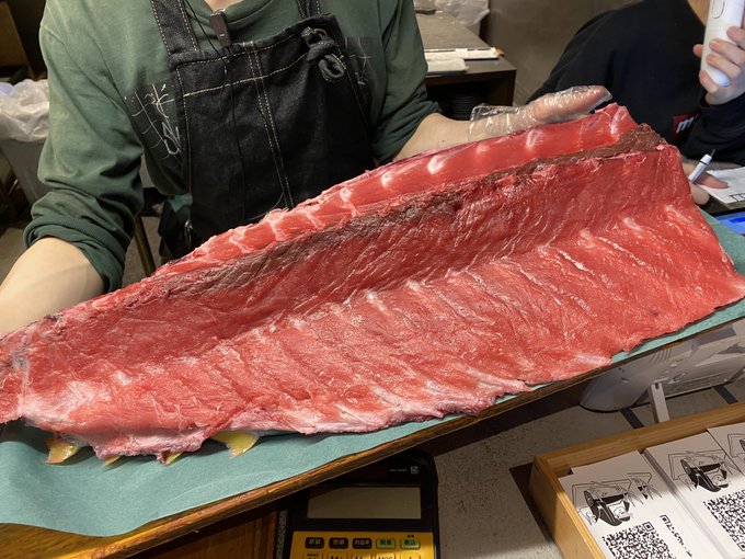 本マグロのtwitterイラスト検索結果