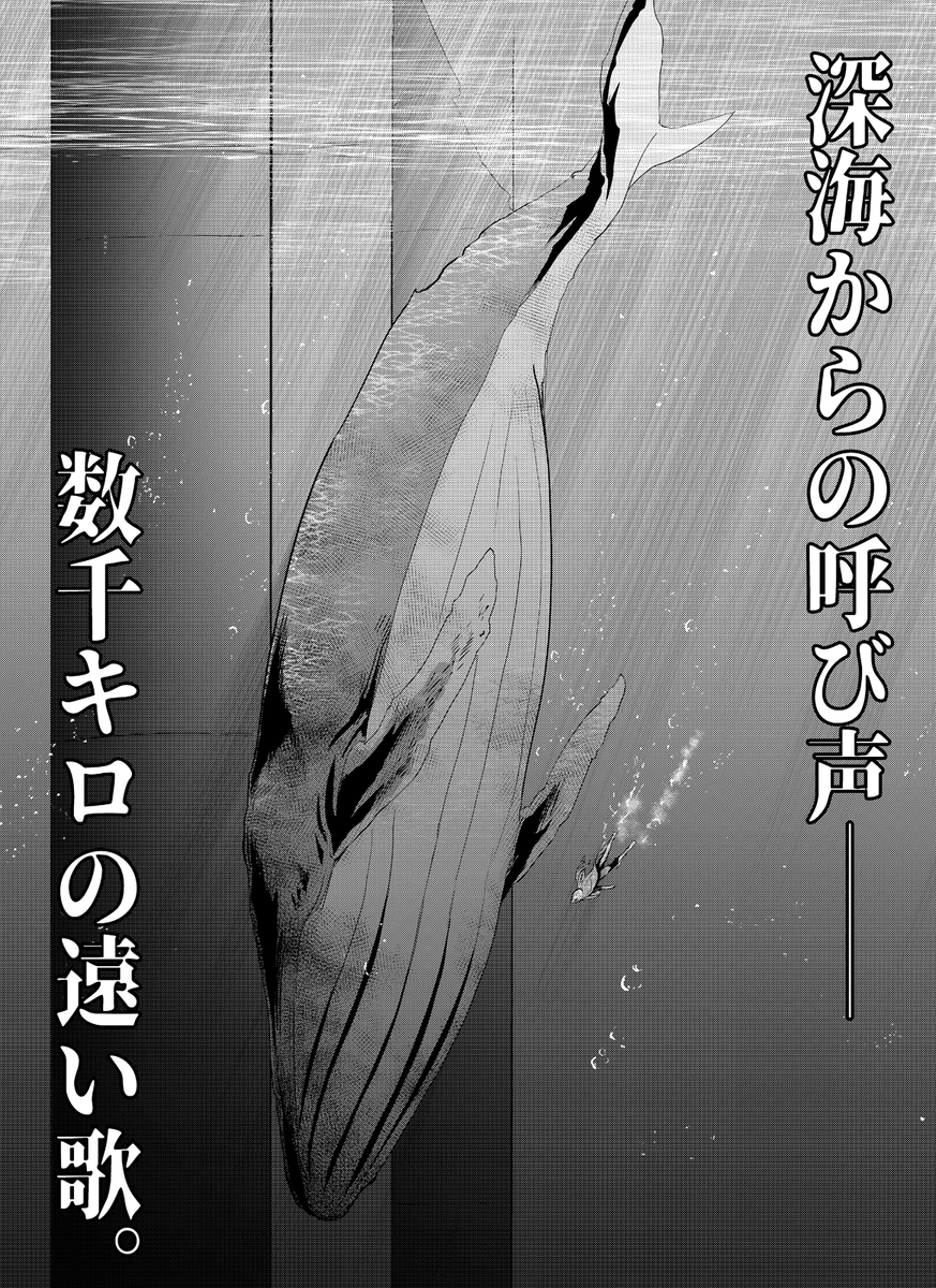 【告知】コミックリュウの更新日です。夜光雲のサリッサ第31話「この惑星(ほし)を守る一撃(その1)」が公開されました!
https://t.co/V278ta5nM7
ロシア海軍戦略原潜の核の脅威に晒された<反撃の狼煙>!
マムと忍はロシア大統領府に潜入して大統領との直談判を…あの男が提案した「解決法」とは? 