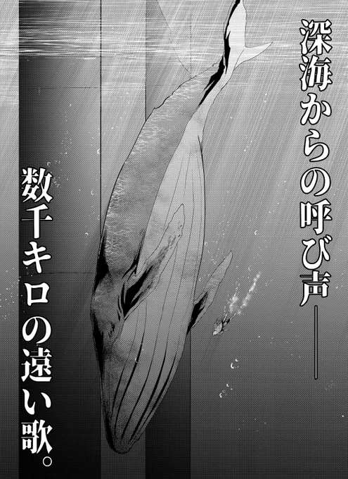 【告知】コミックリュウの更新日です。夜光雲のサリッサ第31話「この惑星(ほし)を守る一撃(その1)」が公開されました!
https://t.co/V278ta5nM7
ロシア海軍戦略原潜の核の脅威に晒された<反撃の狼煙>!
マムと忍はロシア大統領府に潜入して大統領との直談判を…あの男が提案した「解決法」とは? 