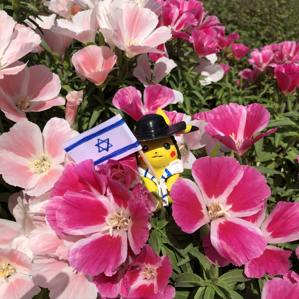 yael_sagi's tweet photo. PikaJew is wishing you a happy Independence Day! Yom atzmaut sameach! ๐ฎ๐ฑ๐ #YomHaatzmaut #Israel #Israel73 #Pikachu #PikaJew https://t.co/0cjWFmqs4T