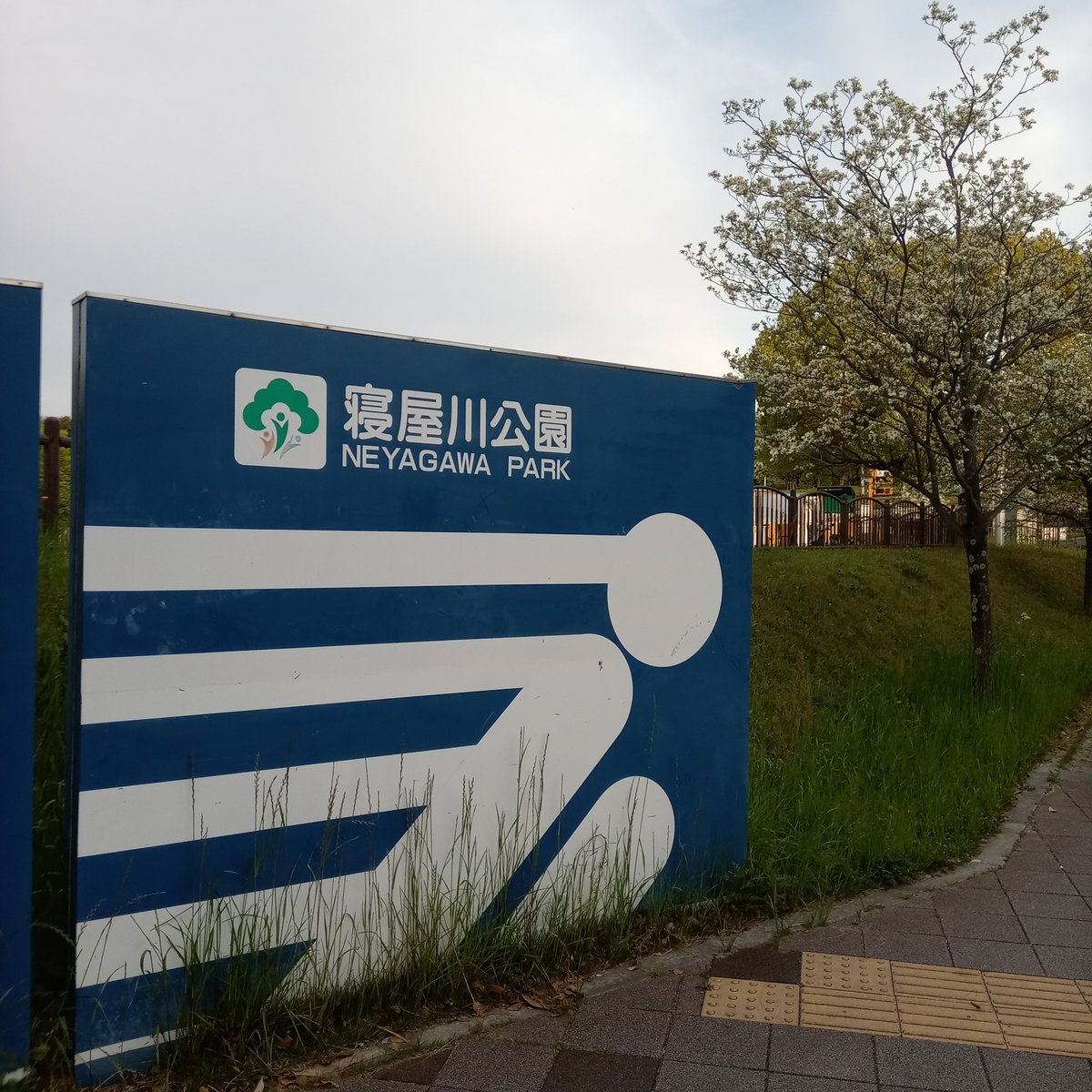みさです On Twitter 発展場情報 今回は大阪の寝屋川市にある 寝屋川公園です ここは車 でないと行きにくい公園です 今回自転車できましたけど かなり大変です 凄い坂あるので 発展場しては 発展する所はわかりやすいですし 夜は公園はほととんど人いない