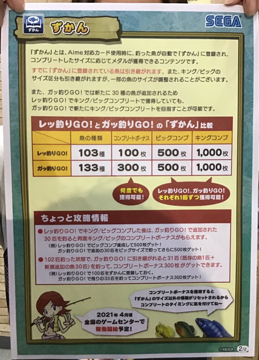 ディノスパーク苫小牧 on Twitter: 