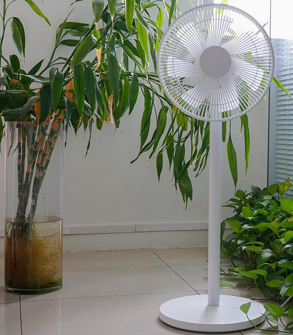 A fan can be of great help to any plant that is planted indoors as it circulates the air and prevents the dampness on plants and condensation. You can use floor fan, ceiling fan, or oscillating fan as per the requirement. But do not position the fan directly on the plants.