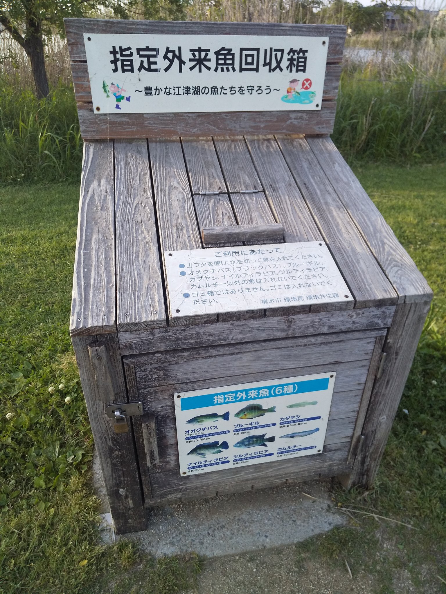 外来魚駆除 Twitter Search Twitter