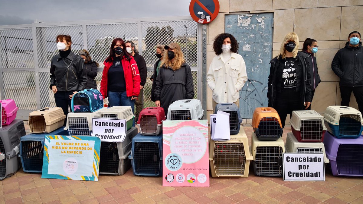 Desde los #Juzgados de #ColmenarViejo activistas y entidades piden de forma pacífica y silenciosa que el juez competente comprenda la urgencia de tomar medidas para liberar a los animales. #RescateVivotecnia #TransportinesAlJuzgado Retransmite <a href="/paulaGlezC/">Paulitavegan (she/her/ella) 🐺</a> facebook.com/caballodenietz…