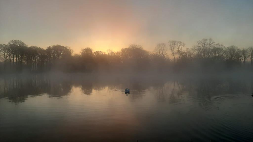Early morning view from the 7th green 🦢 

📸: <a href="/B_BFaulkner/">Brian Faulkner</a>  #TheGolfCourseAtAdareManor #Golf #AdareManor