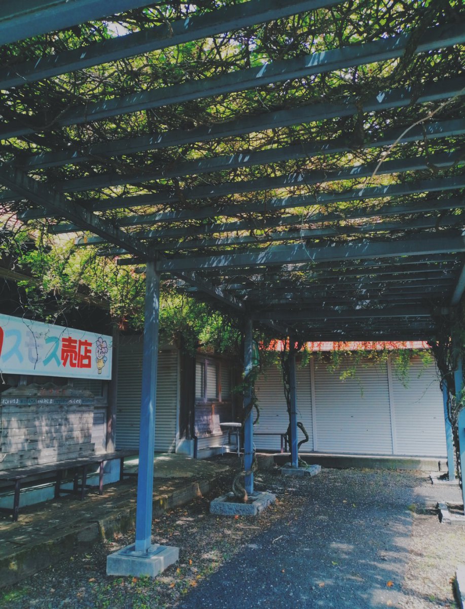 fig1109's tweet photo. その④
アケビの花 https://t.co/7iJmiguSf2