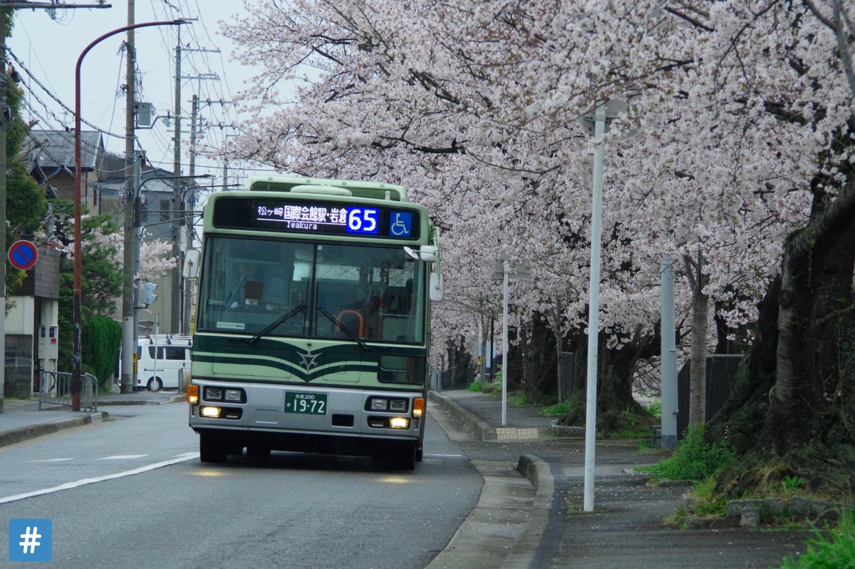 パン代 川端通に念願の市バス開通 しかし時代はフルカラーledに 京都市バスと桜21 京都市バス 1972 65系統 高野橋東詰 左京区総合庁舎前間 21 3 28