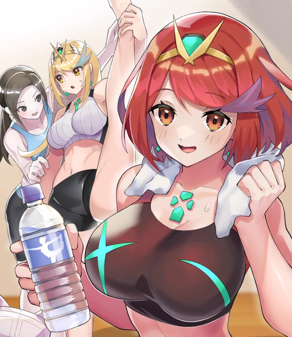 Wiifitトレーナーさんとトレーニングするホムヒカ 