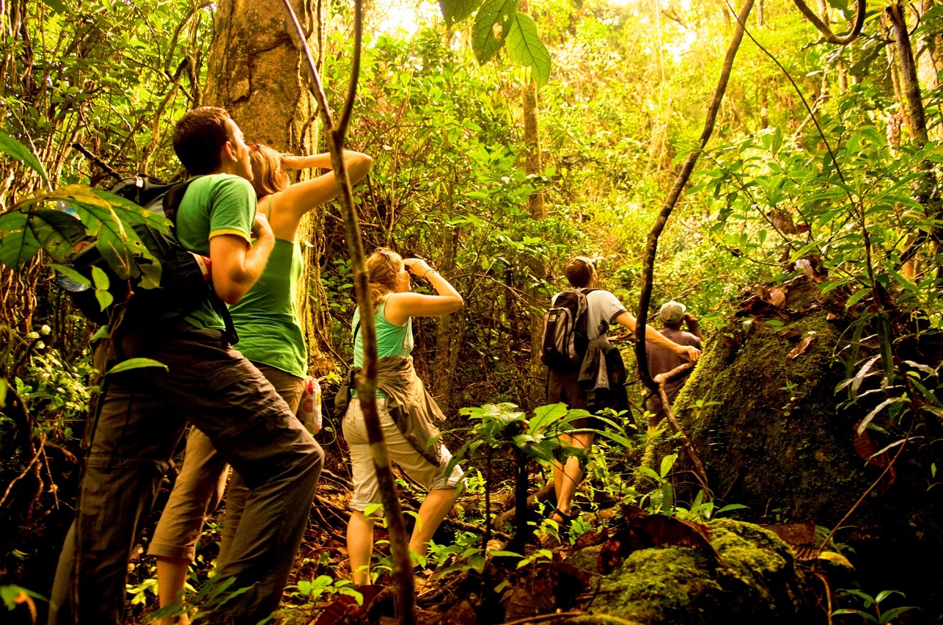 Journey team. Джунгли лакапал Геншин. Лиэнн Рэдклифф джунгли. Туристы в джунглях. Экспедиция в джунгли.