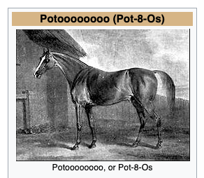 I fell into a horse racing rabbit hole ever since the uma musume addiction started, and then someone pointed me to this article