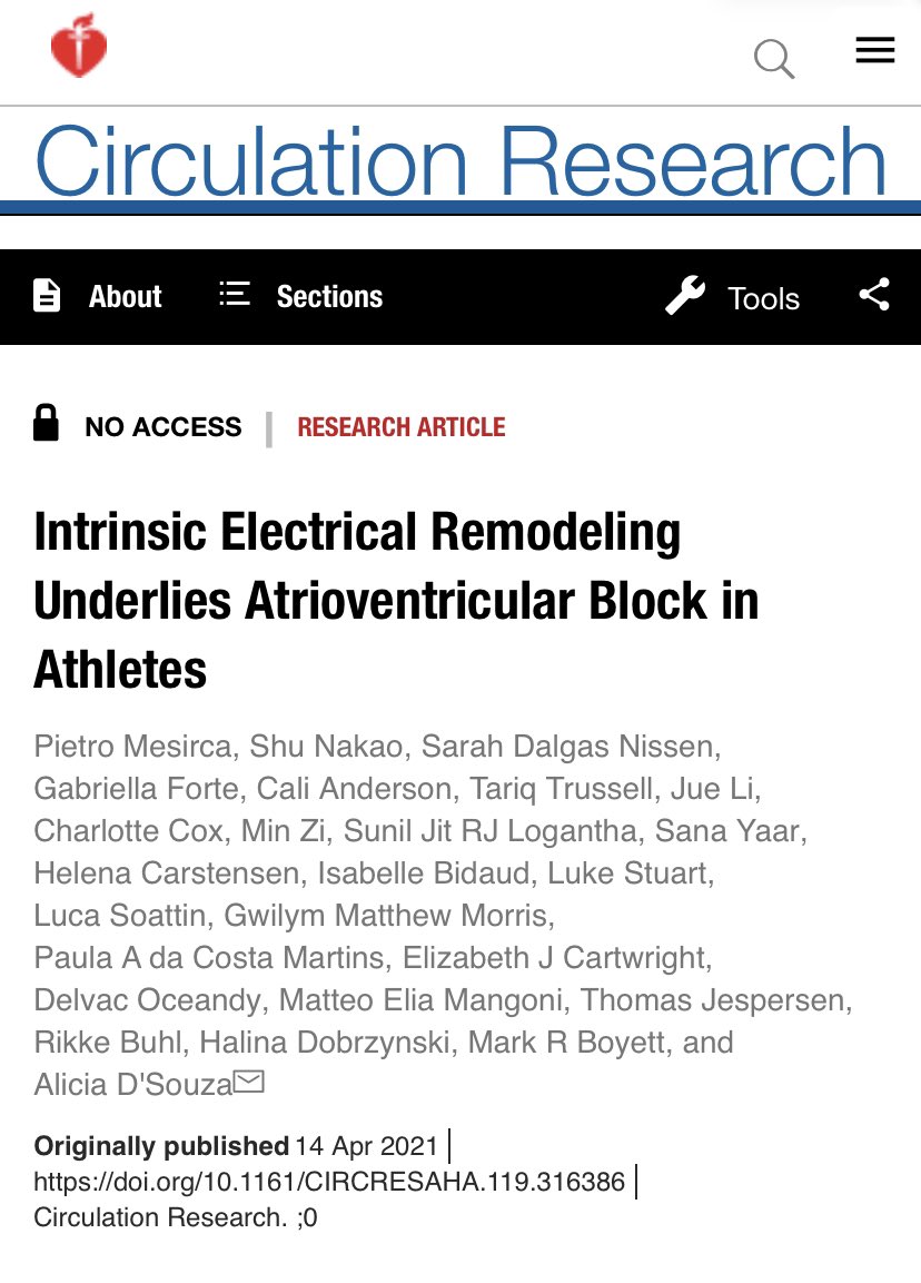 Sana Y. (@sanay1996) on Twitter photo Delighted to have been able to contribute to this exciting new study which highlights electrical remodelling of the #AVnode as a key mechanism underlying #AVblock in athletes, with a potential role for MicroRNAs- published in <a href="/CircRes/">Circulation Research</a>
ahajournals.org/doi/abs/10.116… Delighted to have been able to contribute to this exciting new study which highlights electrical remodelling of the #AVnode as a key mechanism underlying #AVblock in athletes, with a potential role for MicroRNAs- published in <a href="/CircRes/">Circulation Research</a>
ahajournals.org/doi/abs/10.116…