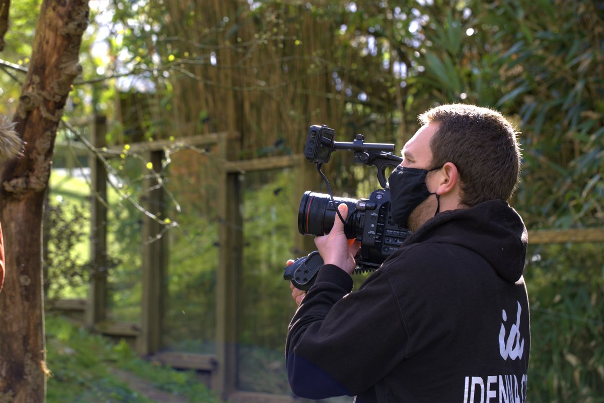 CornwallCollege's tweet image. It's been great fun filming something special at @NewquayZoo this week 🎥☀️  Wonderful to see it open once again 😀

Super excited to be working with the team at @IdennaCreative on the project- watch this space 👌

#studynewquay