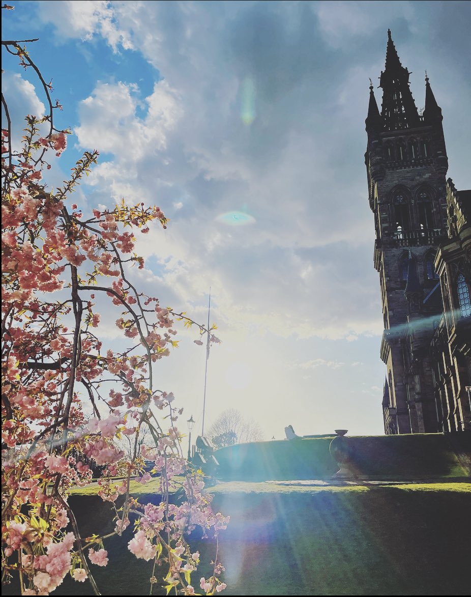 We are so happy to see the beautiful cherry blossoms in full bloom on campus! 🌸

📸Photo by <a href="/Eavanmac/">Professor Niamh Stack</a>
