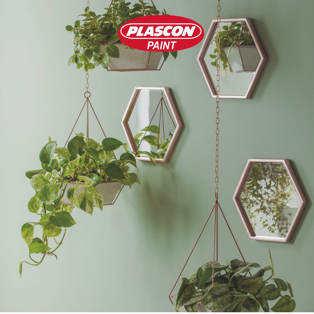 PlasconPaintNG's tweet photo. Thinking of where to purchase lead free, low VOC and eco-kind paint? We've got you covered! Visit any of our stores or call the number on our bio today.
#PLASCONPAINT #COLOURS #APRIL2021 https://t.co/yLWyMubyWc