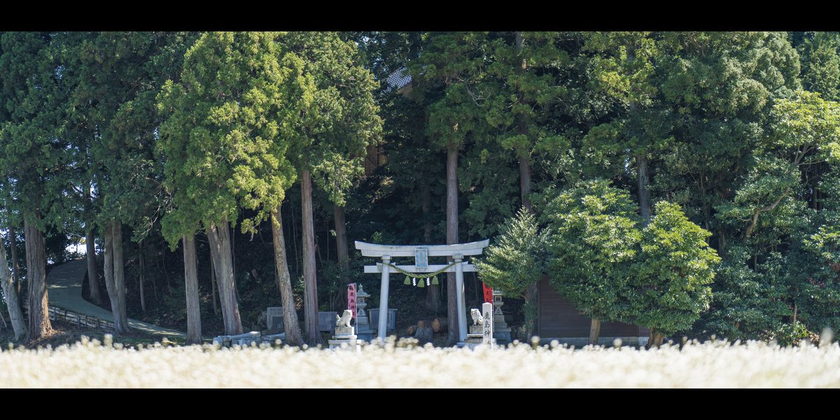461_jp's tweet photo. まるでジブリの世界に来たようだった。 https://t.co/Qma8vglUjk